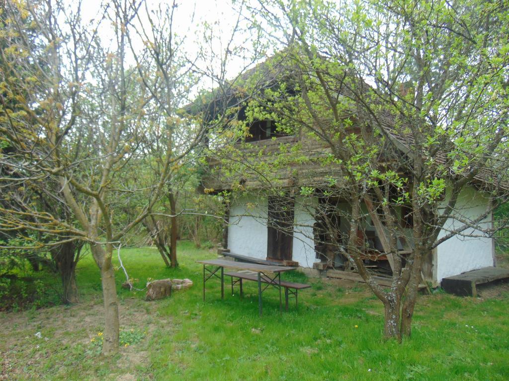 Rigó Vendégház Oriszentpéter Exterior foto